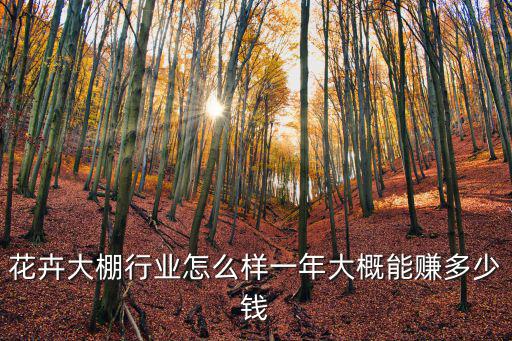 花卉大棚行業(yè)怎么樣一年大概能賺多少錢