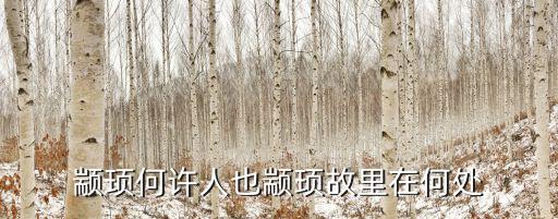 顓頊故里在雅安哪里,顓頊故里在何處