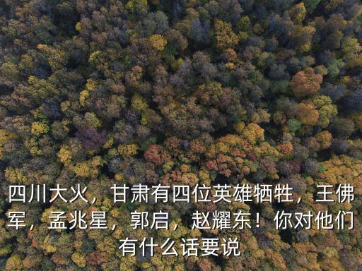 四川大火，甘肅有四位英雄犧牲，王佛軍，孟兆星，郭啟，趙耀東！你對他們有什么話要說