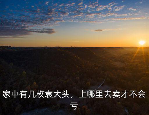 家中有幾枚袁大頭，上哪里去賣才不會虧
