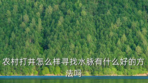 平頂山市哪里有打井的,平頂山葉縣哪里有打井的