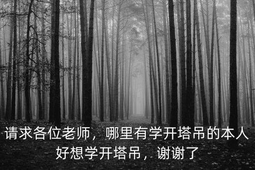 請求各位老師，哪里有學(xué)開塔吊的本人好想學(xué)開塔吊，謝謝了