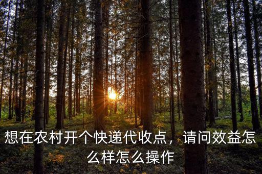 在濮陽開快遞點怎么樣,想在農村開個快遞代收點