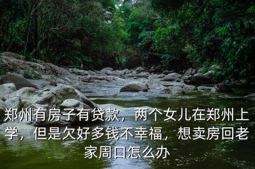 鄭州房子有多少是周口人買的,鄭州有房子有貸款