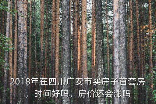 2018年在四川廣安市買房子首套房，時間好嗎，房價還會漲嗎