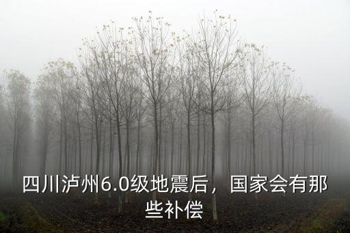 瀘州哪里地震嗎,四川瀘州6.0級地震后