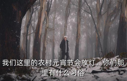 我們這里的農村元宵節會放燈，你們那里有什么習俗