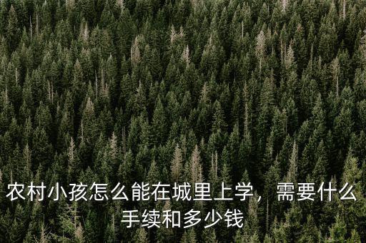 農村小孩在南陽怎么入學,農村小孩怎么能在城里上學