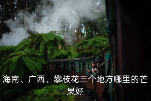海南、廣西、攀枝花三個地方哪里的芒果好