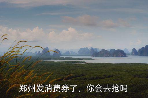 鄭州發(fā)消費(fèi)券了，你會(huì)去搶嗎