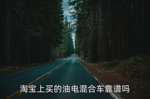 淘寶上買的油電混合車靠譜嗎