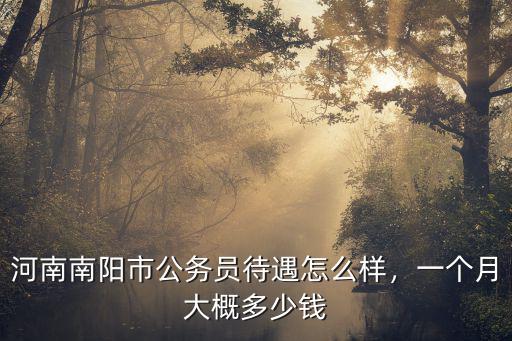 南陽月平均工資是多少錢,南陽市真實的工人收入是多少