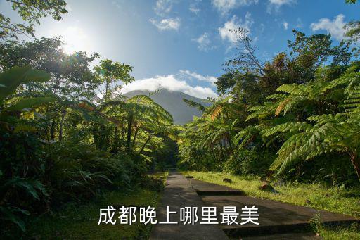 成都市最美鄉村在哪里,成都晚上哪里最美