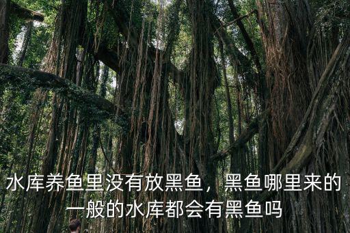 水庫養魚里沒有放黑魚，黑魚哪里來的一般的水庫都會有黑魚嗎