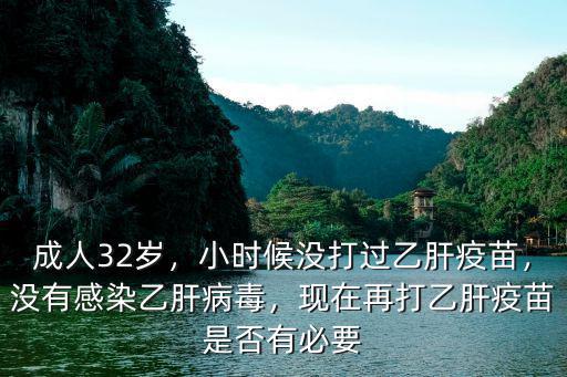 廣安 成人在哪里打乙肝疫苗,現在再打乙肝疫苗是否有必要