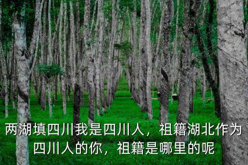 吳曉是四川哪里的,兩湖填四川。我是四川人