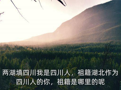 四川艾萬哪里人,兩湖填四川。我是四川人