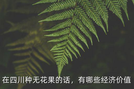 在四川種無花果的話，有哪些經濟價值