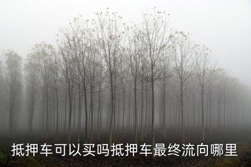 涼山州大眾抵押車哪里能買賣,抵押車最終流向哪里