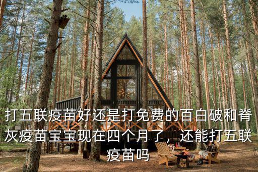 打五聯(lián)疫苗好還是打免費(fèi)的百白破和脊灰疫苗寶寶現(xiàn)在四個月了，還能打五聯(lián)疫苗嗎