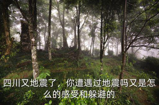 四川又地震了，你遭遇過地震嗎又是怎么的感受和躲避的