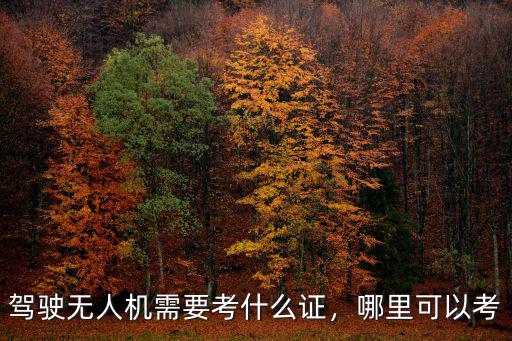 鶴壁無(wú)人機(jī)飛行員執(zhí)照怎么考,無(wú)人機(jī)飛行員執(zhí)照分幾種