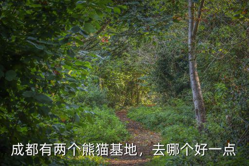 成都哪里有批發熊貓的,成都有兩個熊貓基地