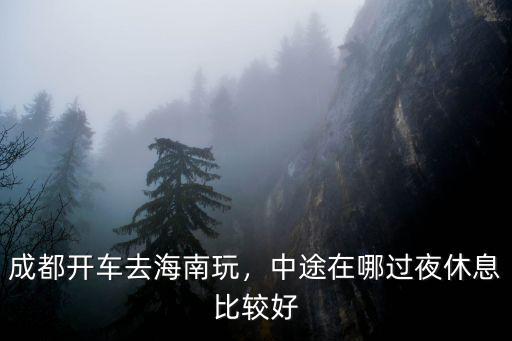 武漢去成都自駕中途在哪里休息好,中途在哪過夜休息比較好
