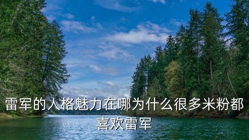 雷軍的人格魅力在哪為什么很多米粉都喜歡雷軍
