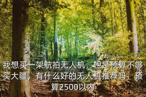 綿陽哪里賣大疆無人機,大疆無人機在哪里買最好