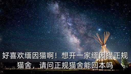南充貓舍哪里正規,正規貓舍有多不靠譜
