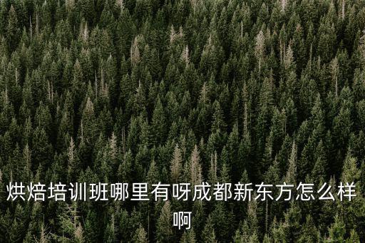 成都新東方培訓地址在哪里,成都新東方怎么樣啊