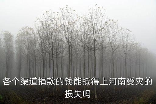河南受災(zāi)騰訊捐款多少,河南洪災(zāi)你捐款了嗎