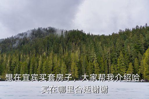 黃秋奎在宜賓哪里,宜賓未來的城市中心在哪里