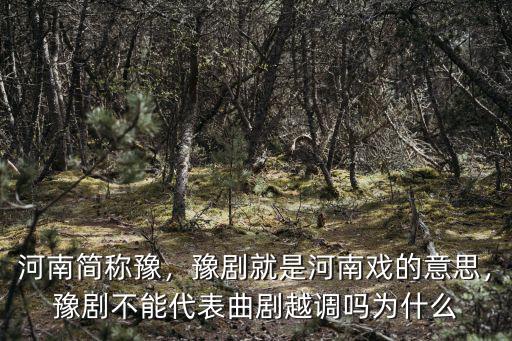 河南簡稱豫，豫劇就是河南戲的意思，豫劇不能代表曲劇越調嗎為什么
