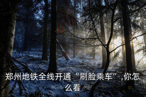 鄭州地鐵全線開通“刷臉乘車”,你怎么看