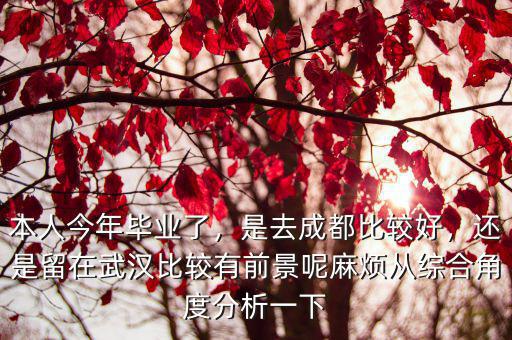 本人今年畢業了，是去成都比較好，還是留在武漢比較有前景呢麻煩從綜合角度分析一下