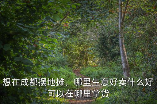 想在成都擺地?cái)偅睦锷夂觅u什么好可以在哪里拿貨
