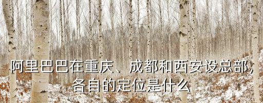 阿里巴巴在重慶、成都和西安設(shè)總部，各自的定位是什么