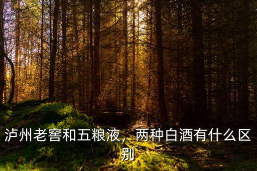 瀘州老窖酒哪里生產(chǎn)的,瀘州老窖這款酒怎么樣