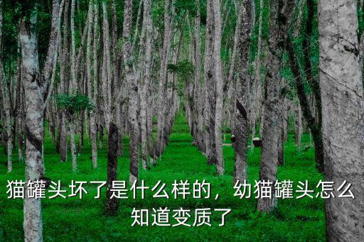 沒開封貓罐頭怎么保存,幼貓罐頭怎么知道變質(zhì)了