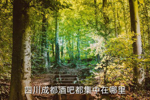 成都最酷的酒吧在哪里,四川成都酒吧都集中在哪里