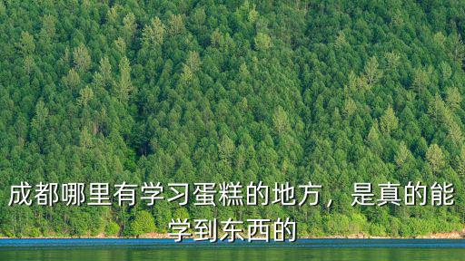 成都哪里有學習蛋糕的地方，是真的能學到東西的