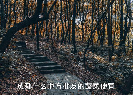 成都哪里批發(fā)多肉最便宜,成都什么地方批發(fā)的蔬菜便宜