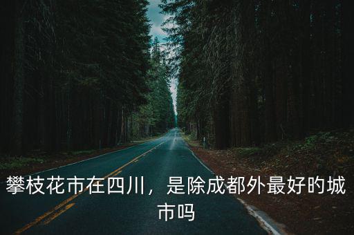 攀枝花市在四川，是除成都外最好旳城市嗎