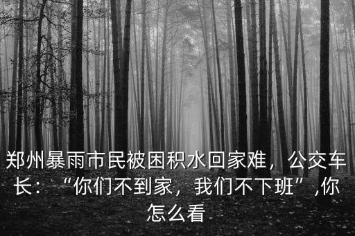 鄭州暴雨市民被困積水回家難，公交車長：“你們不到家，我們不下班”,你怎么看