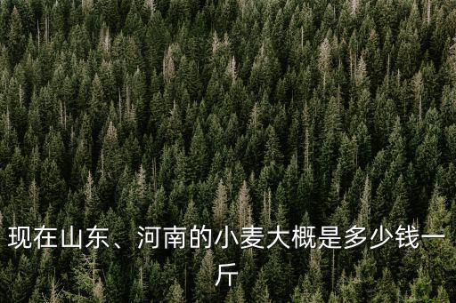 現在山東、河南的小麥大概是多少錢一斤