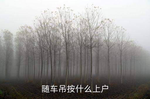 成都隨車吊在哪里上戶,隨車吊按什么上戶