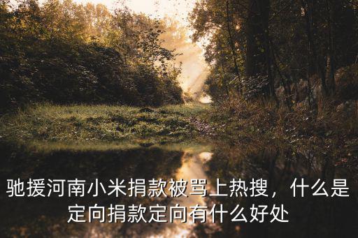 河南省慈善怎么捐款,什么是定向捐款
