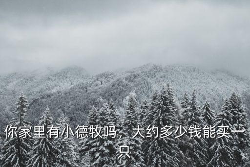 開封小的德牧犬多少錢一只,德國牧羊犬幼犬多少錢一只